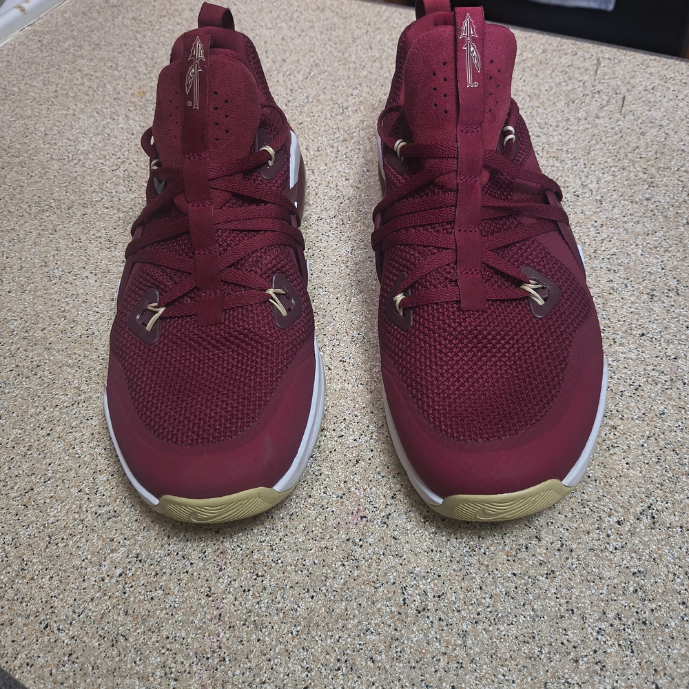 Nike Zoom - FSU Seminoles - Garnet & Gold Athletic Shoes, Men's Size 10 - Picture 3 of 10